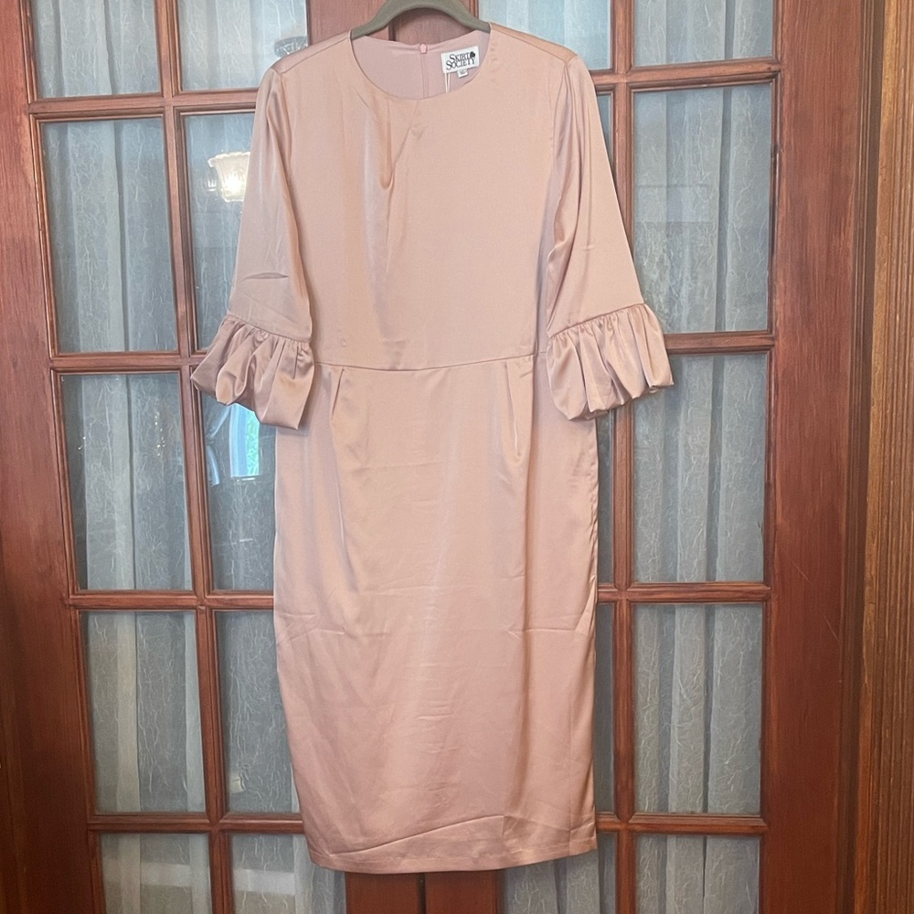 Pink Ruffle Sleeve Dress